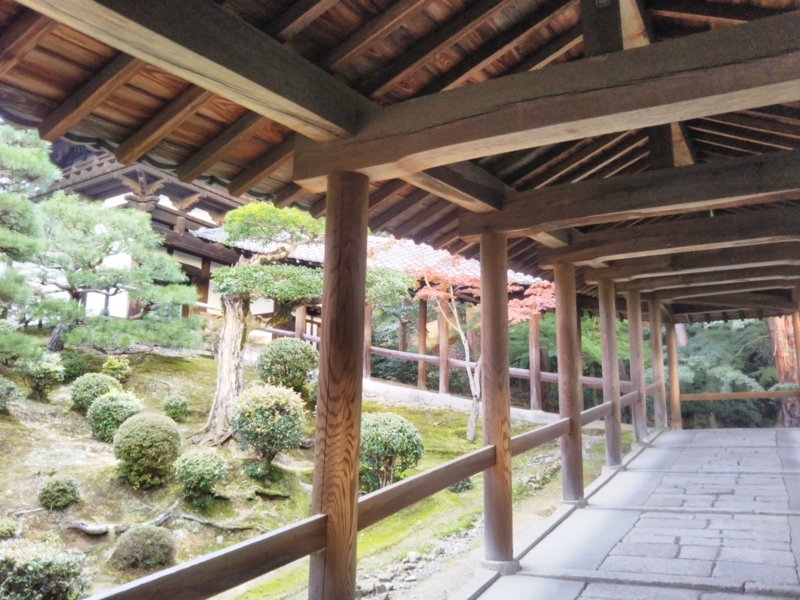 f:id:sasurai-neko:20171031002827j:plain f:id:sasurai-neko:20171031002827j:plain