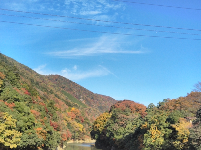 f:id:sasurai-neko:20171122132921j:plain f:id:sasurai-neko:20171122132921j:plain