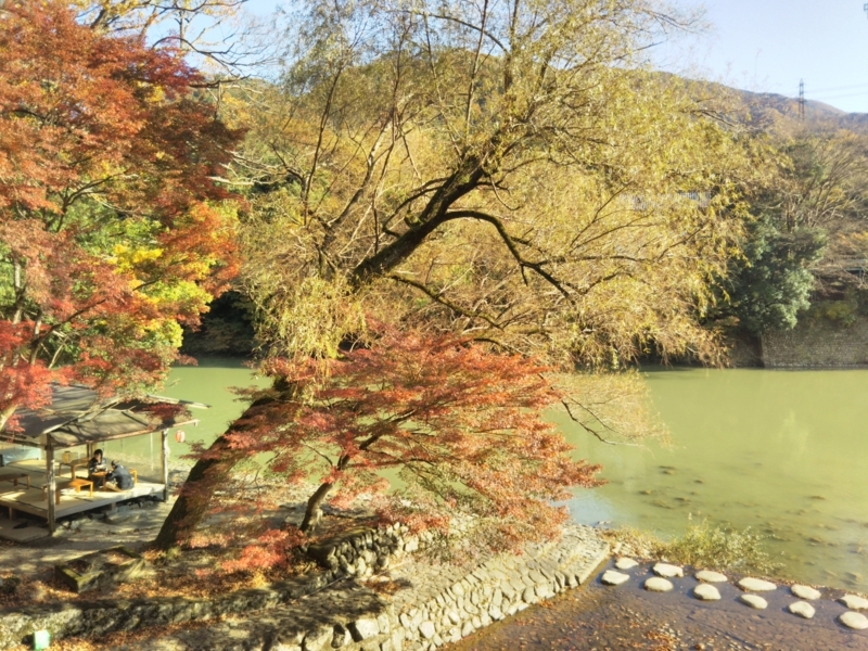 f:id:sasurai-neko:20171122132949j:plain f:id:sasurai-neko:20171122132949j:plain
