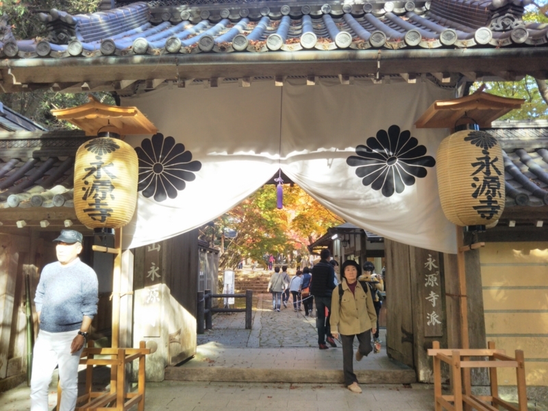 f:id:sasurai-neko:20171122133328j:plain f:id:sasurai-neko:20171122133328j:plain