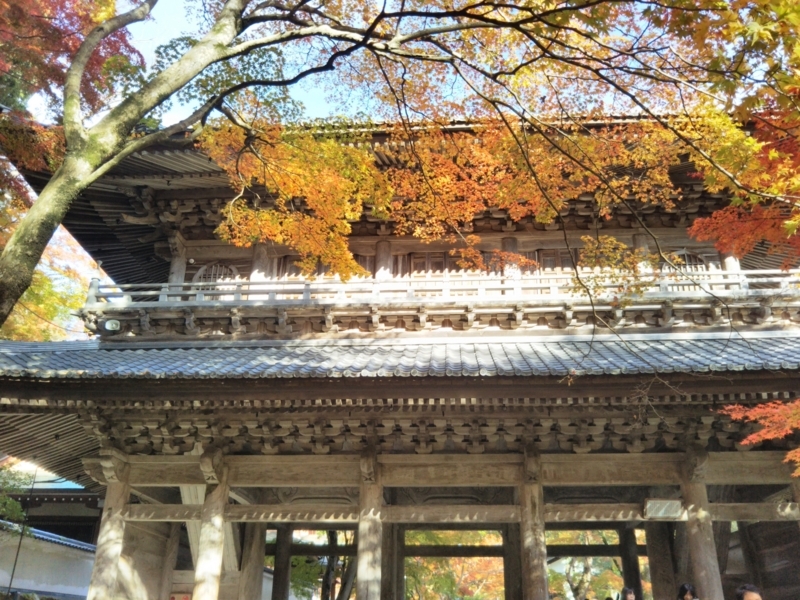 f:id:sasurai-neko:20171122133517j:plain f:id:sasurai-neko:20171122133517j:plain