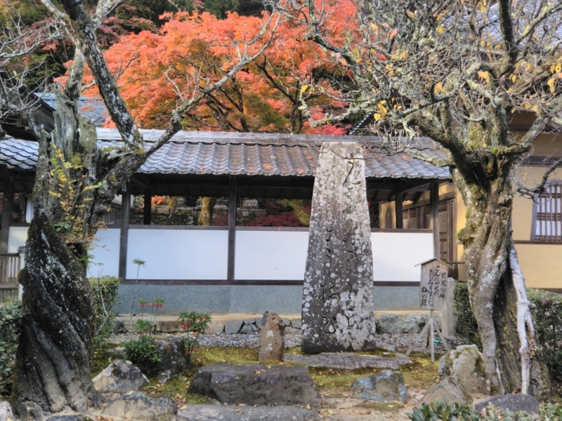 f:id:sasurai-neko:20171122133817j:plain f:id:sasurai-neko:20171122133817j:plain
