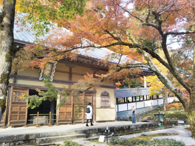 f:id:sasurai-neko:20171122133829j:plain f:id:sasurai-neko:20171122133829j:plain