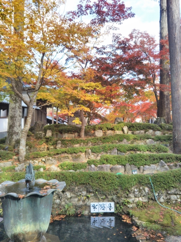 f:id:sasurai-neko:20171122133843j:plain f:id:sasurai-neko:20171122133843j:plain