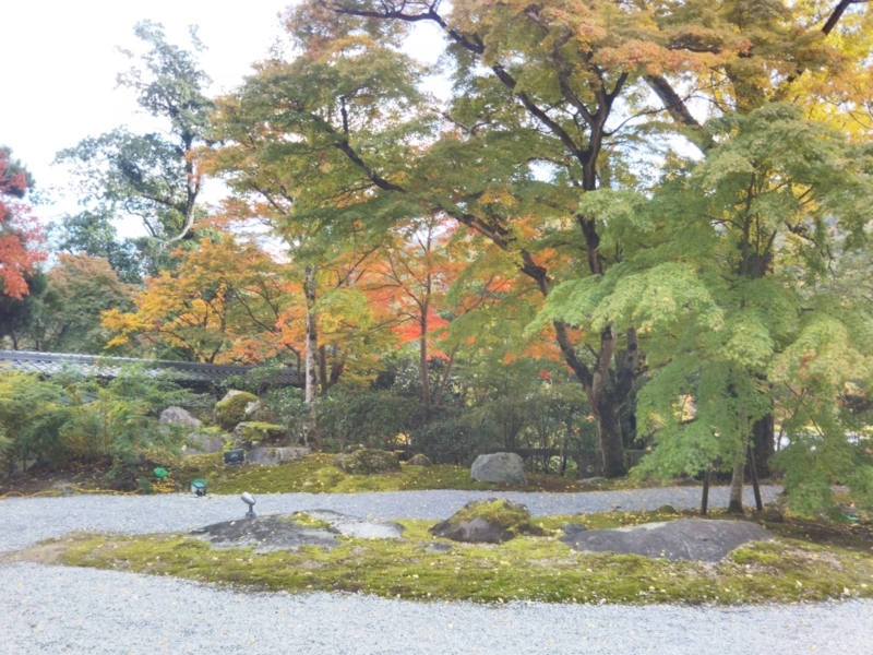 f:id:sasurai-neko:20171122134334j:plain f:id:sasurai-neko:20171122134334j:plain