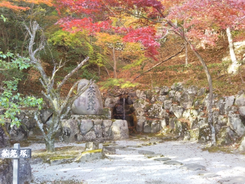f:id:sasurai-neko:20171122134347j:plain f:id:sasurai-neko:20171122134347j:plain