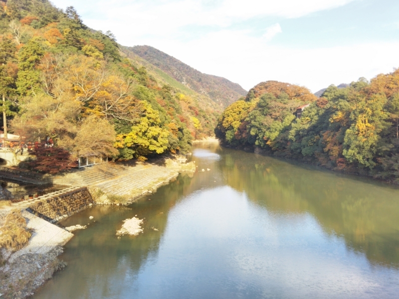 f:id:sasurai-neko:20171122134551j:plain f:id:sasurai-neko:20171122134551j:plain
