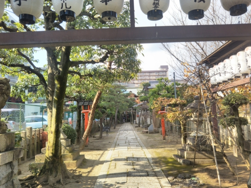 f:id:sasurai-neko:20171129153513j:plain f:id:sasurai-neko:20171129153513j:plain