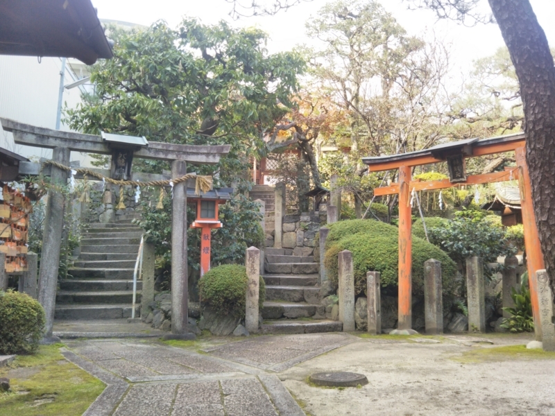 f:id:sasurai-neko:20171129153941j:plain f:id:sasurai-neko:20171129153941j:plain