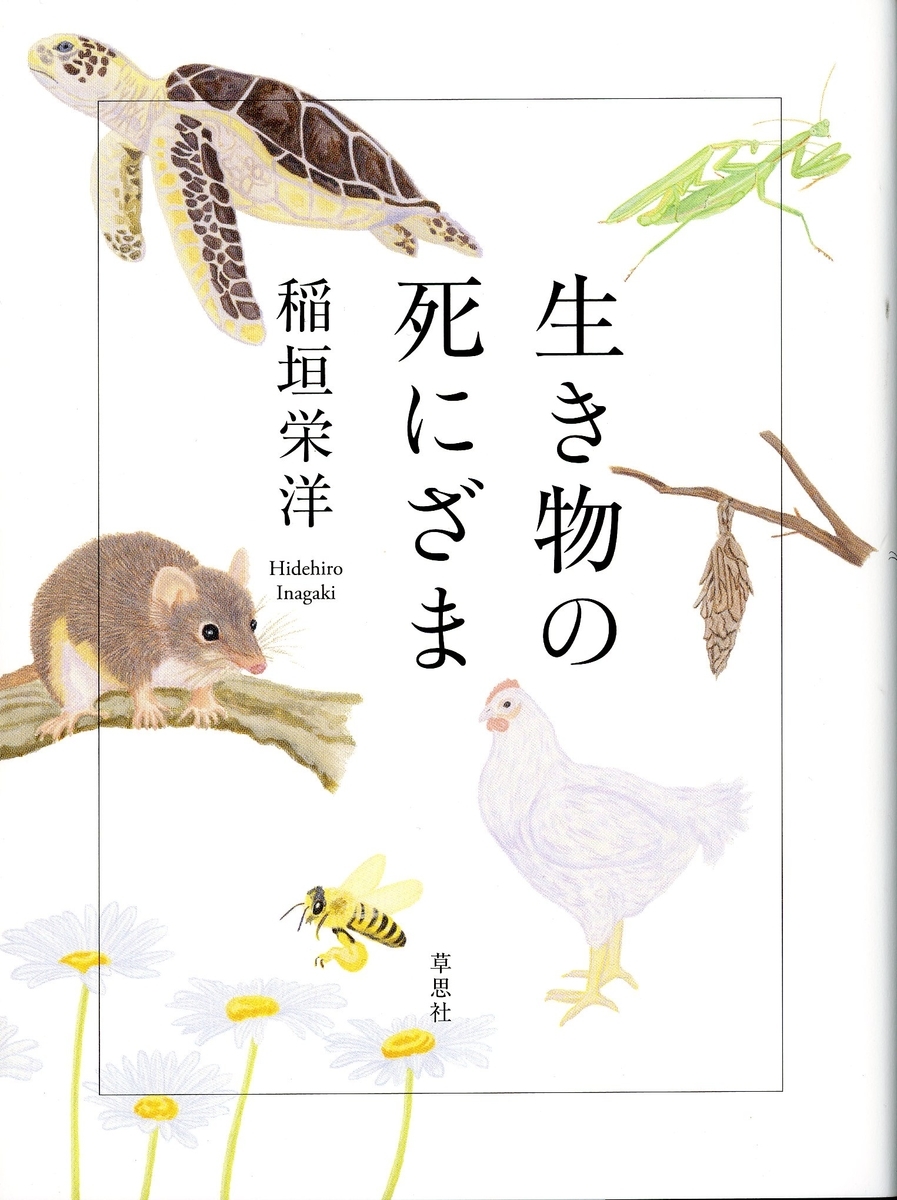 f:id:sasurau64:20210728183514j:plain