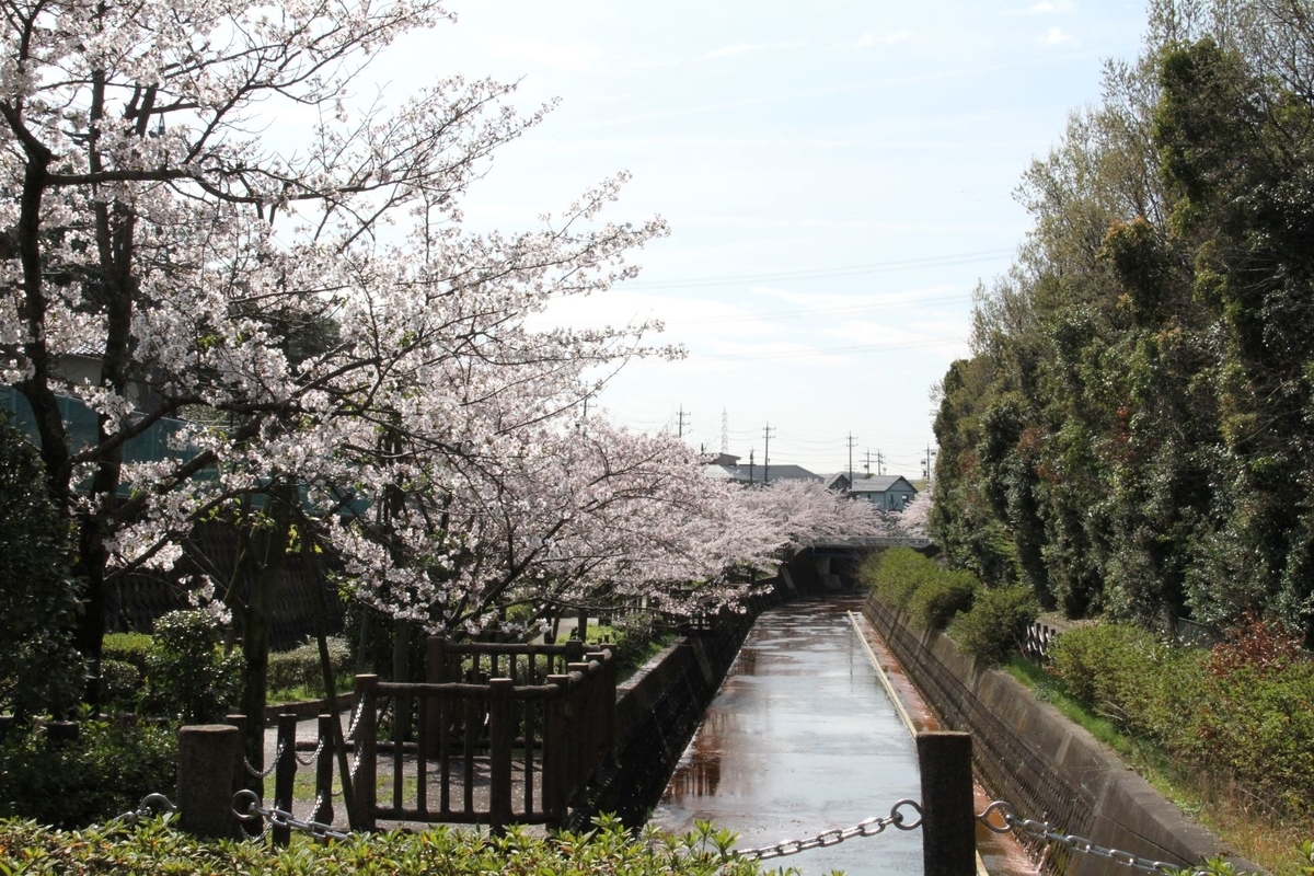 f:id:sasurau64:20210802222147j:plain