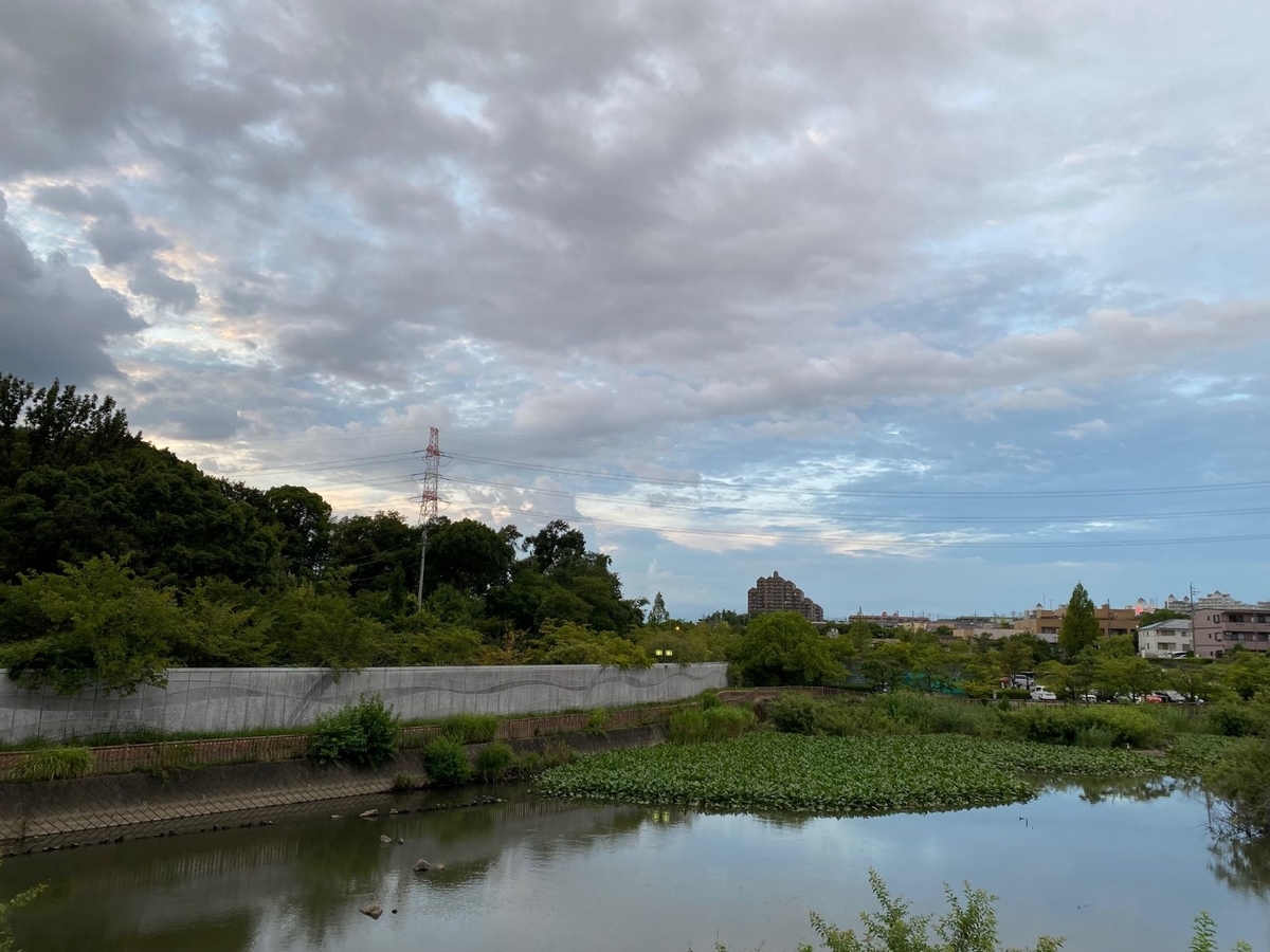 f:id:sasurau64:20210807223519j:plain