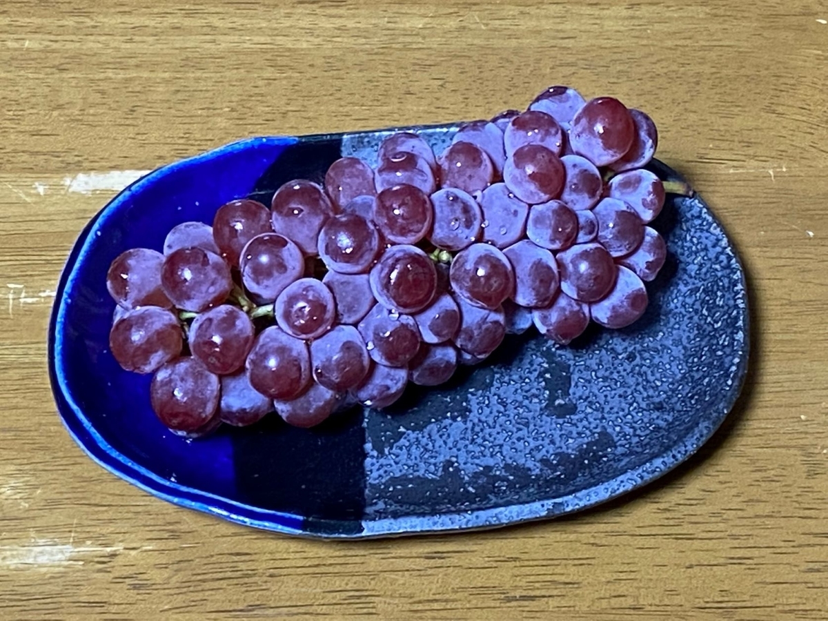 f:id:sasurau64:20210811225014j:plain