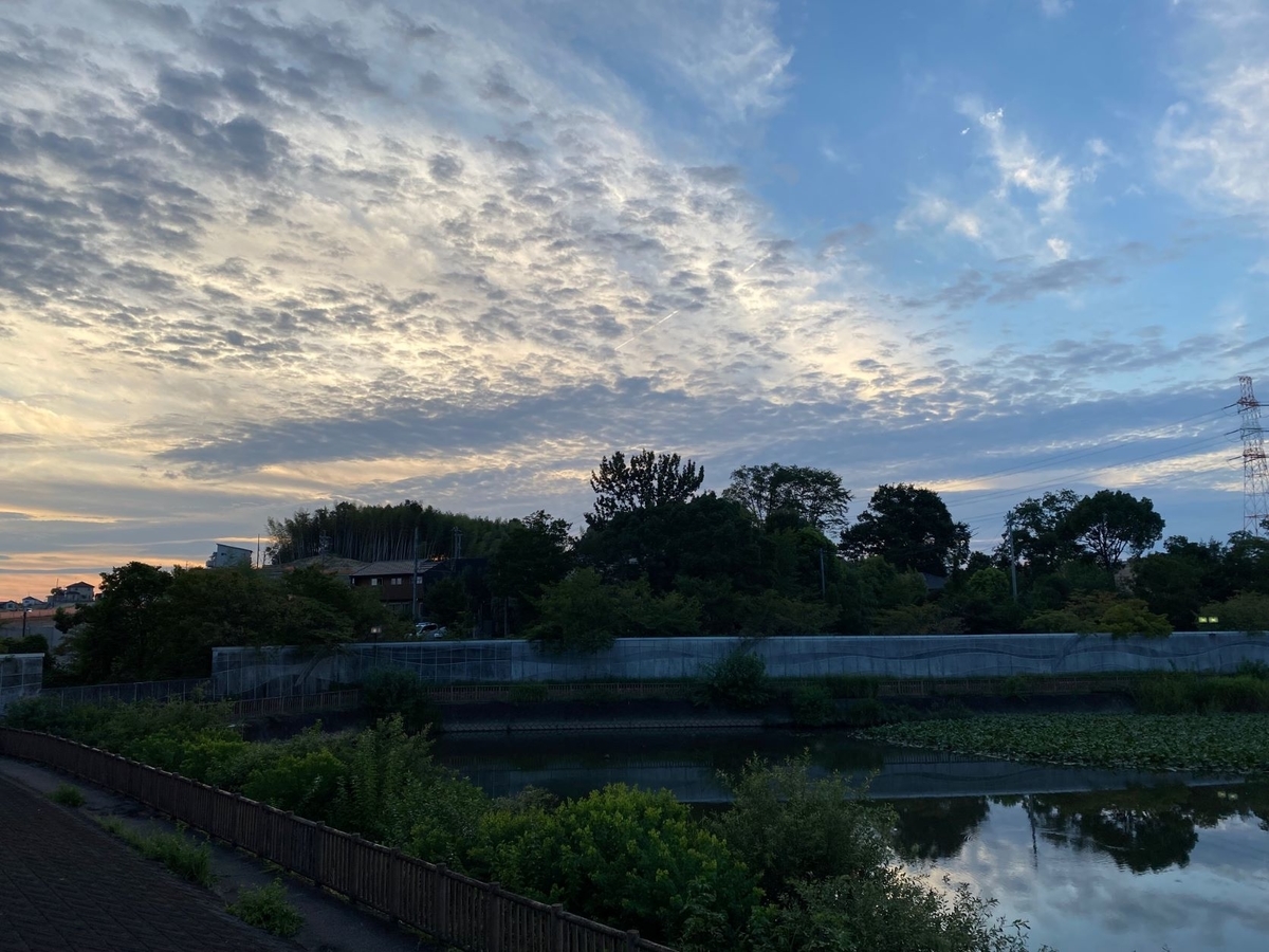 f:id:sasurau64:20210831221509j:plain