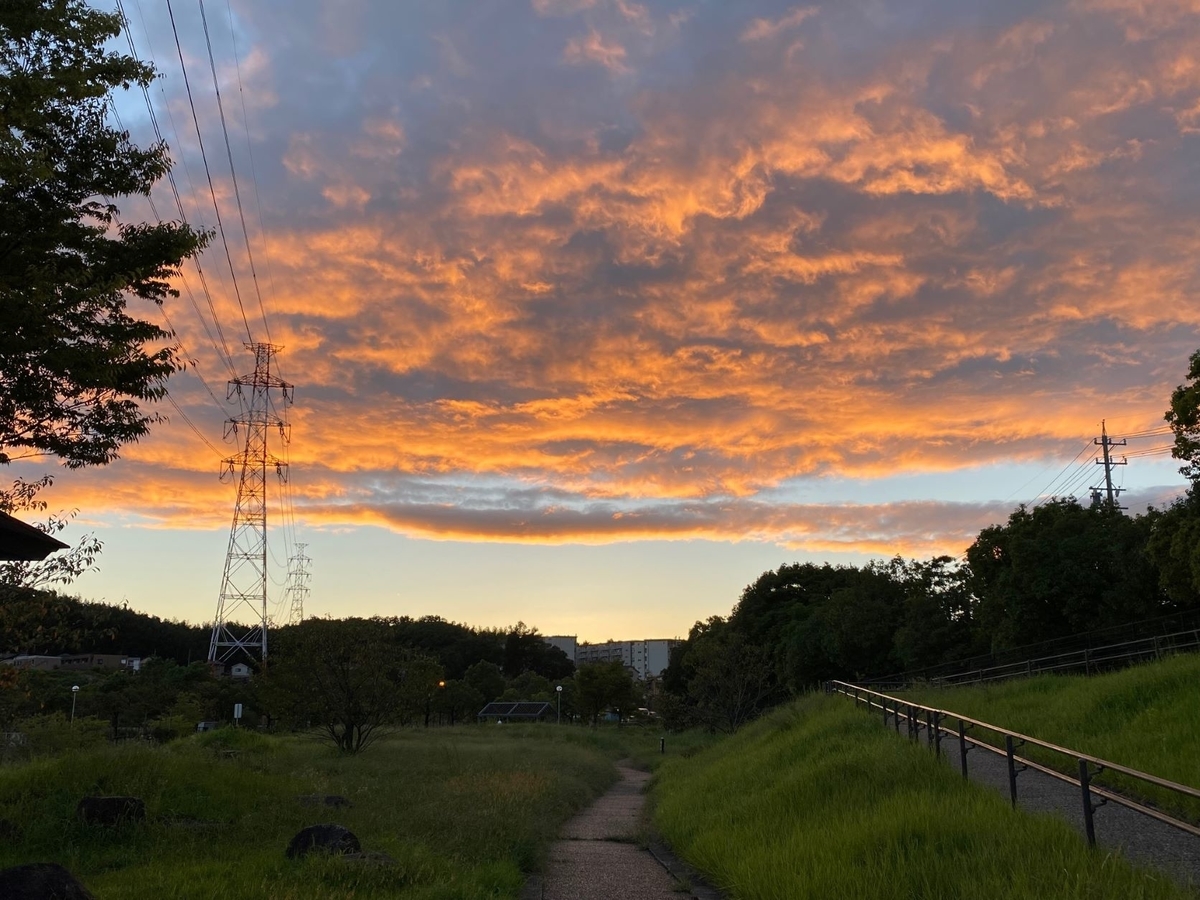 f:id:sasurau64:20210919150842j:plain
