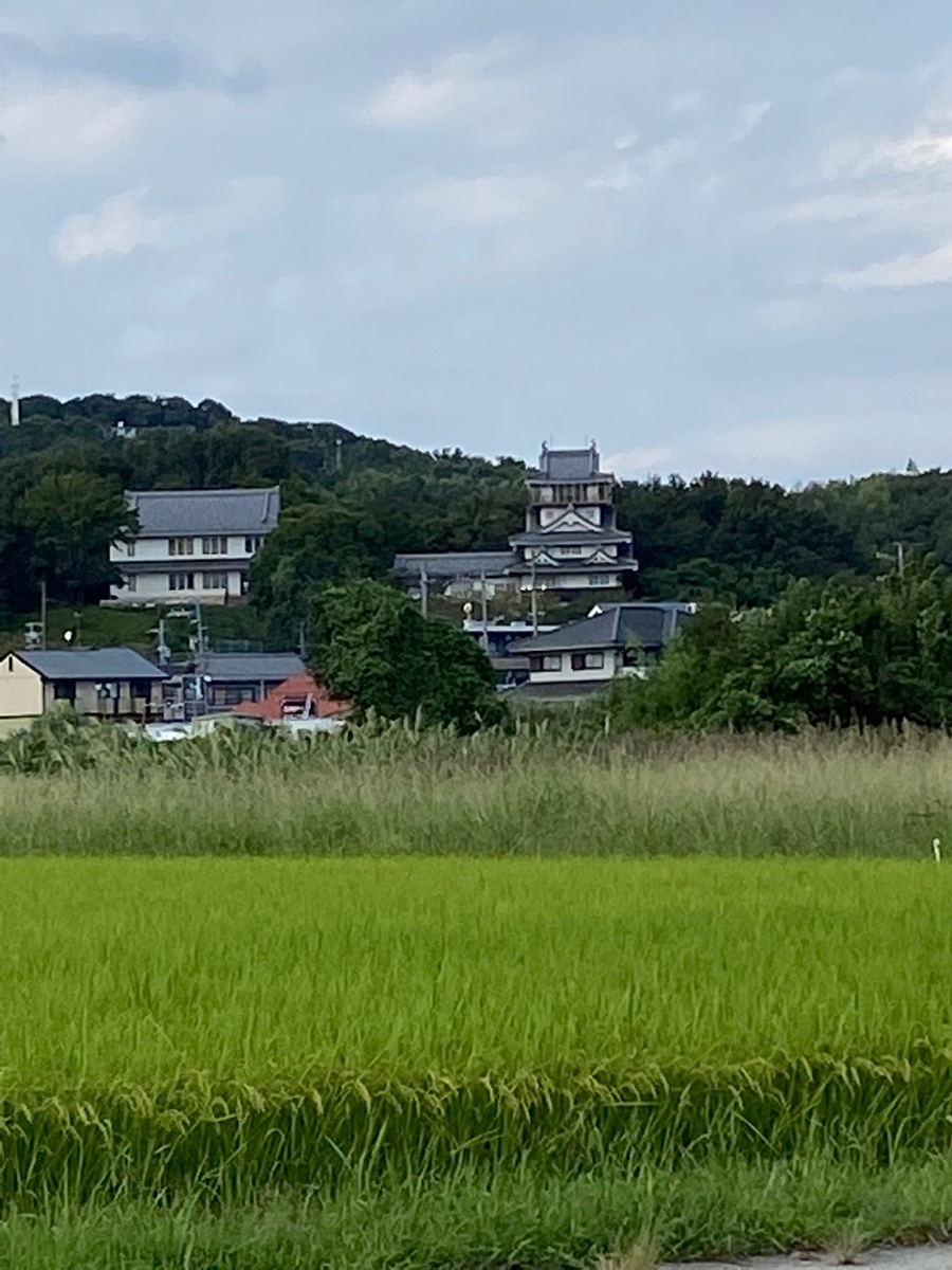 f:id:sasurau64:20210925215150j:plain