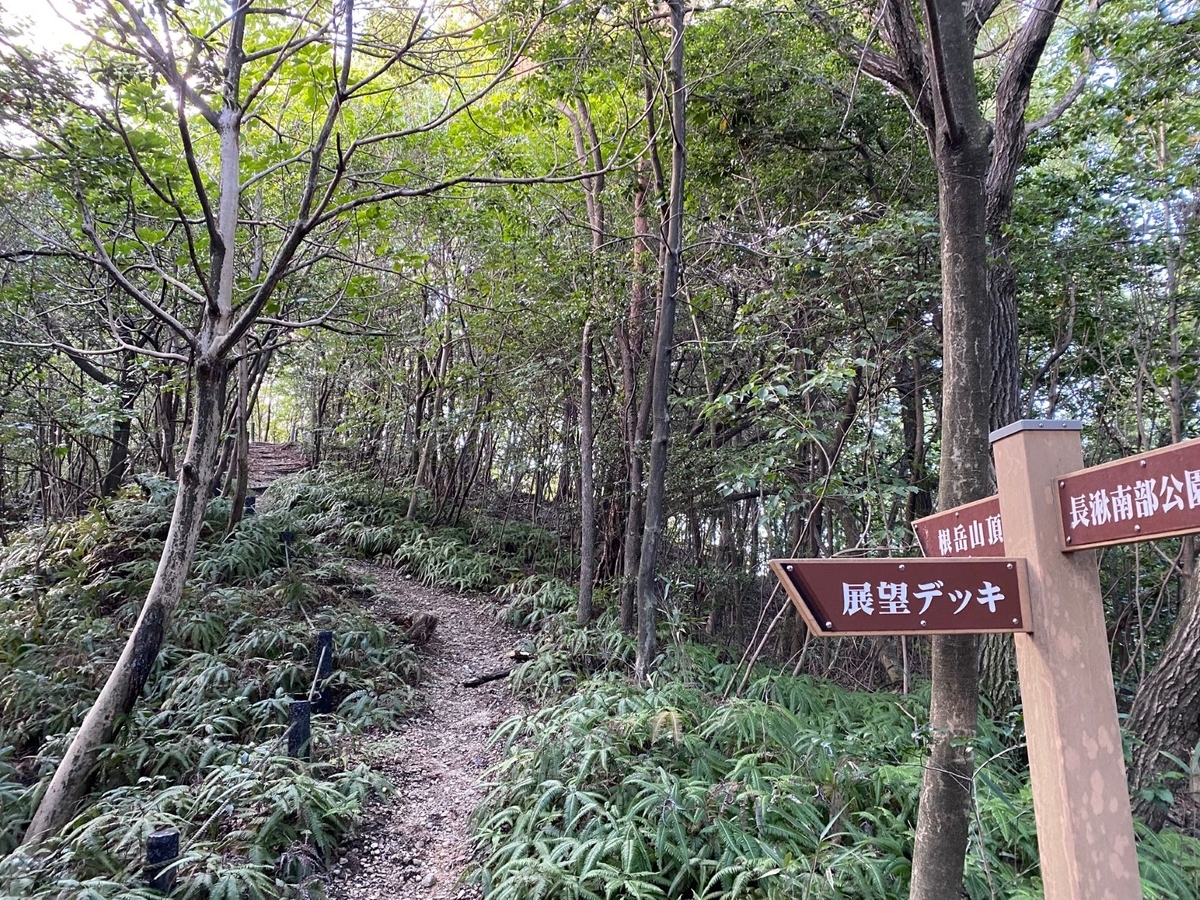 f:id:sasurau64:20211014203519j:plain