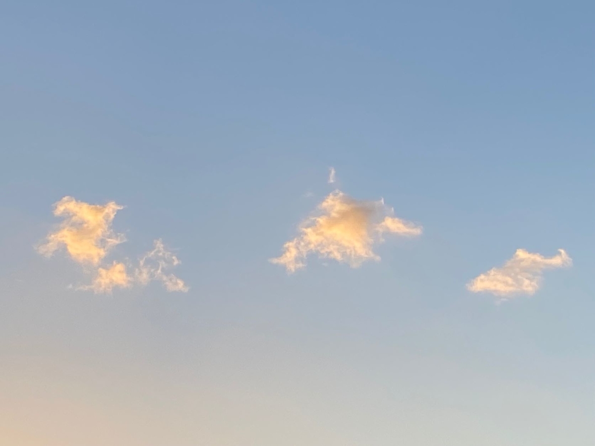 f:id:sasurau64:20211020184040j:plain