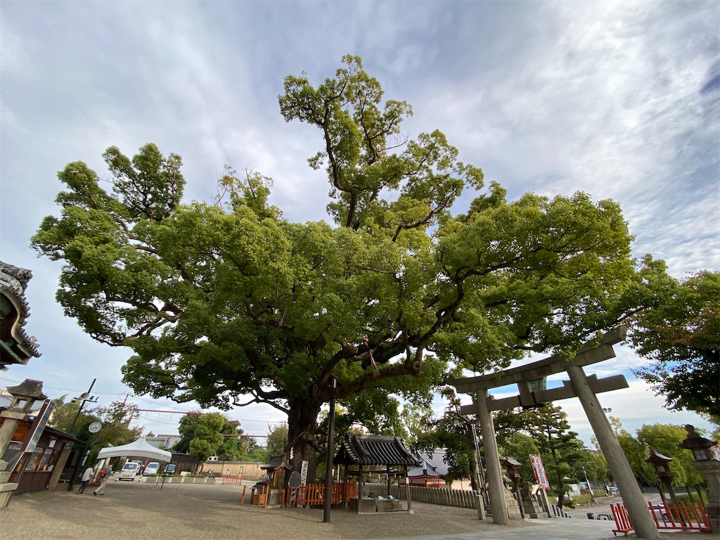 f:id:sasurau64:20211024223602j:image