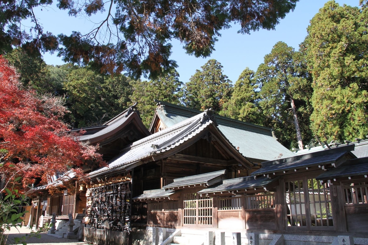 f:id:sasurau64:20211117213219j:plain