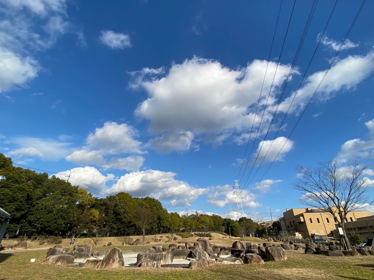 f:id:sasurau64:20211220185951j:plain