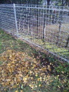 f:id:satakeyuri:20101219190745j:image