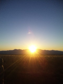 f:id:satakeyuri:20110101084717j:image