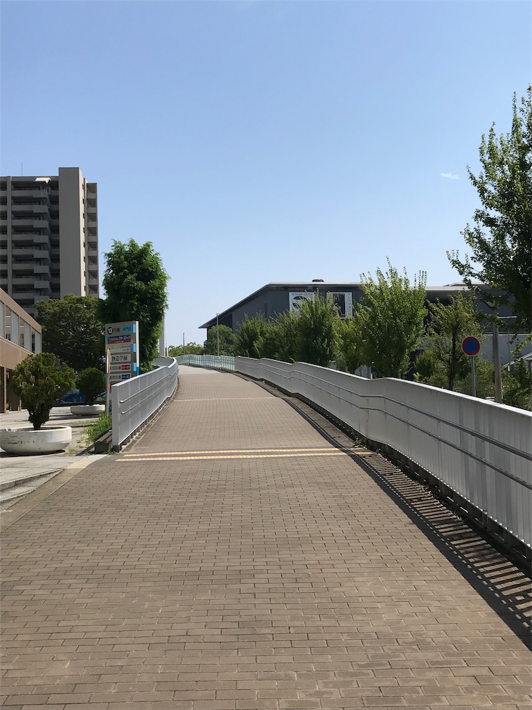 f:id:satatomio:20190826231309j:image f:id:satatomio:20190826231309j:image