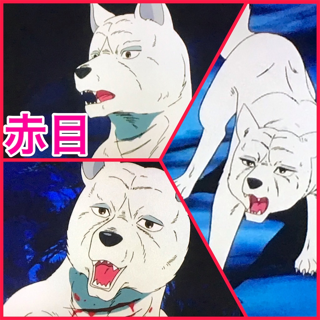 f:id:satatomio:20201231131048j:image