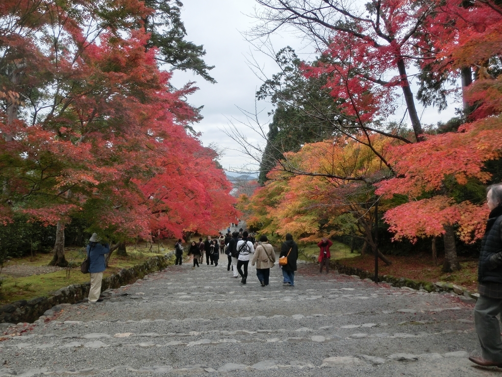 f:id:sateikuzou:20181217200655j:plain f:id:sateikuzou:20181217200655j:plain