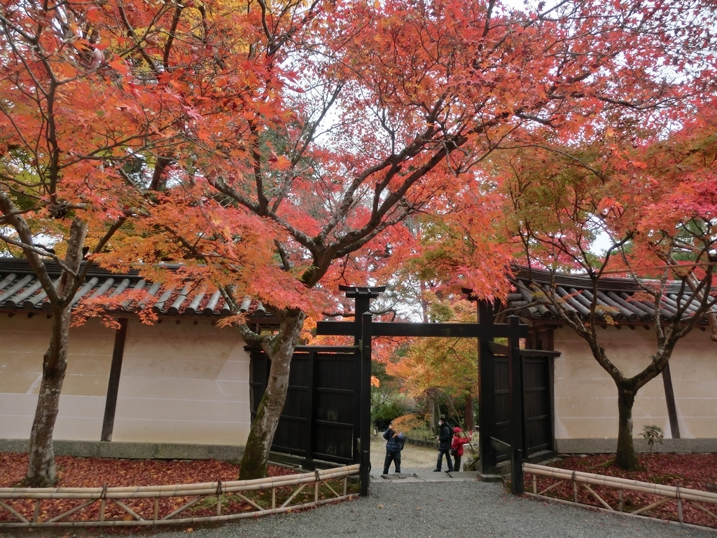 f:id:sateikuzou:20181217200902j:plain f:id:sateikuzou:20181217200902j:plain