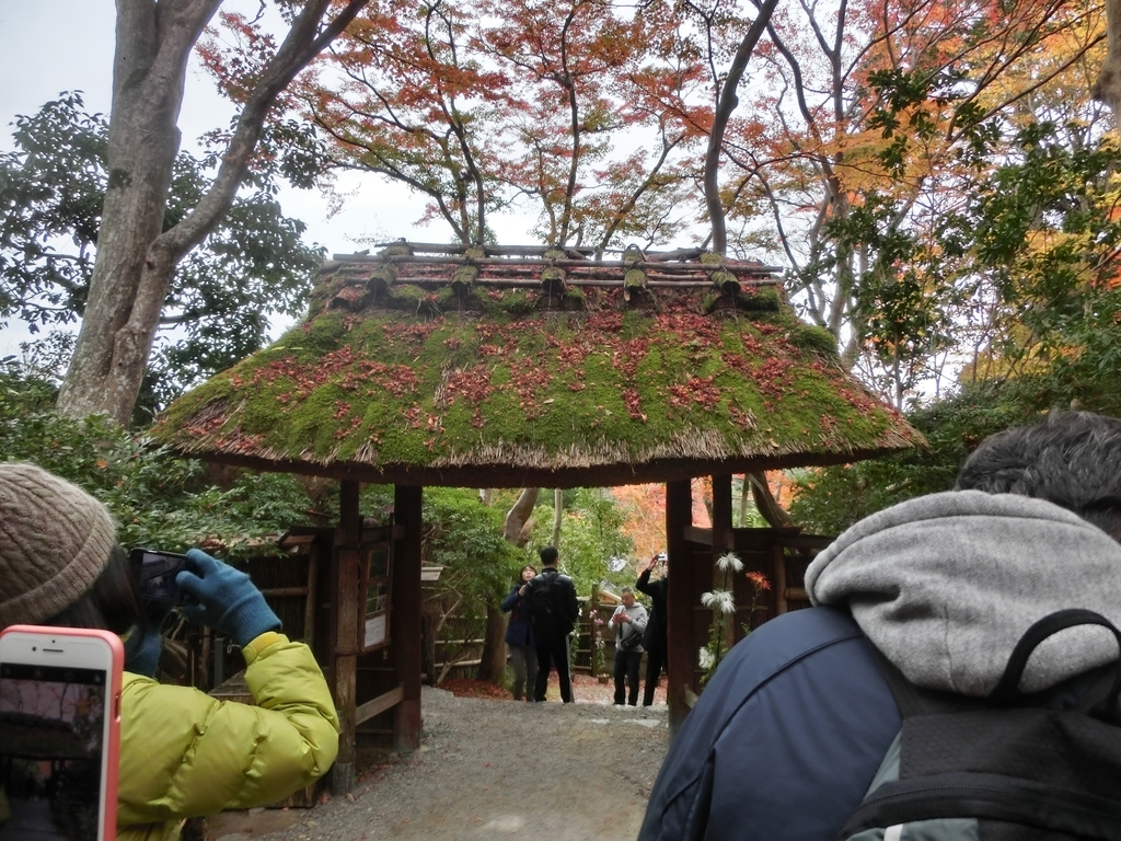 f:id:sateikuzou:20181217200937j:plain f:id:sateikuzou:20181217200937j:plain