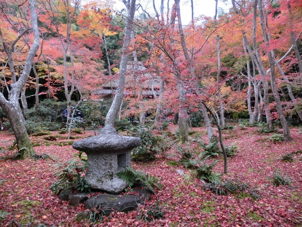 f:id:sateikuzou:20181217201009j:plain f:id:sateikuzou:20181217201009j:plain