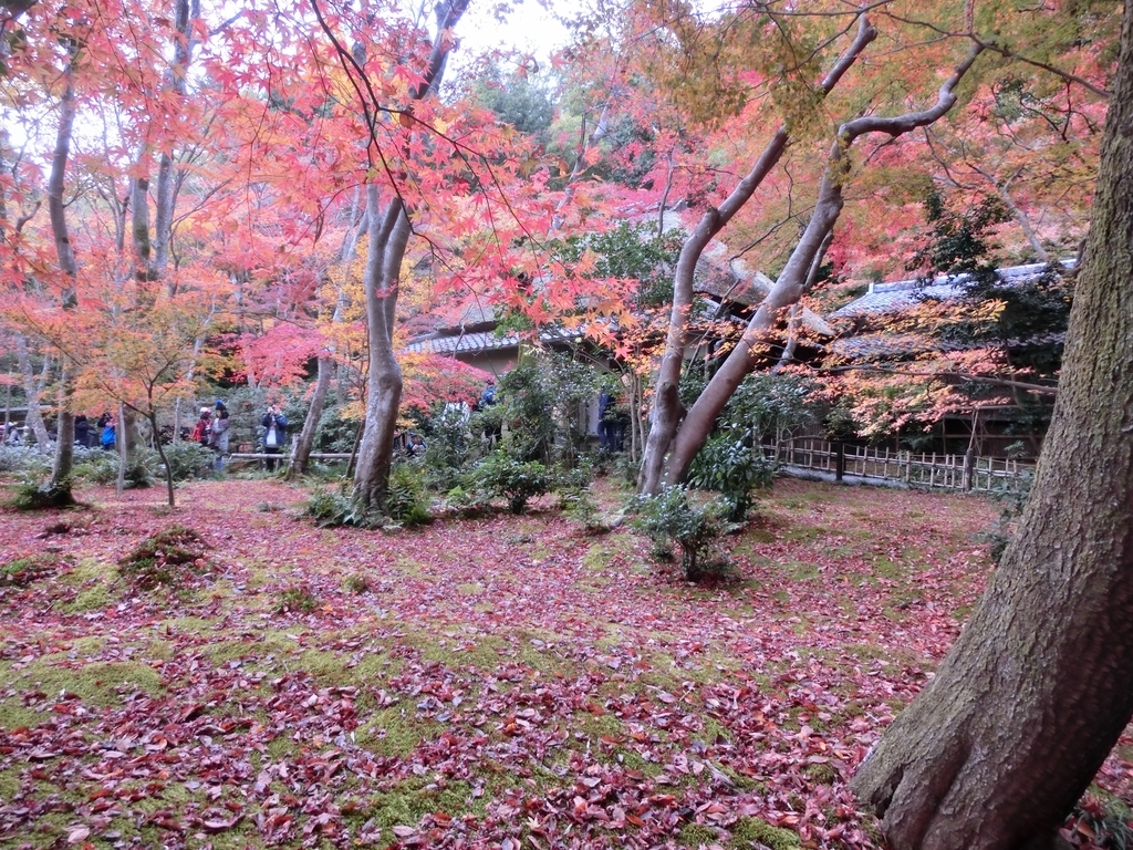 f:id:sateikuzou:20181217201041j:plain