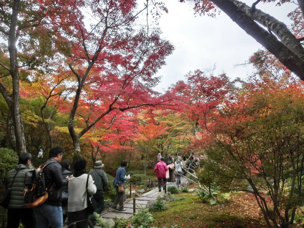 f:id:sateikuzou:20181218215809j:plain f:id:sateikuzou:20181218215809j:plain