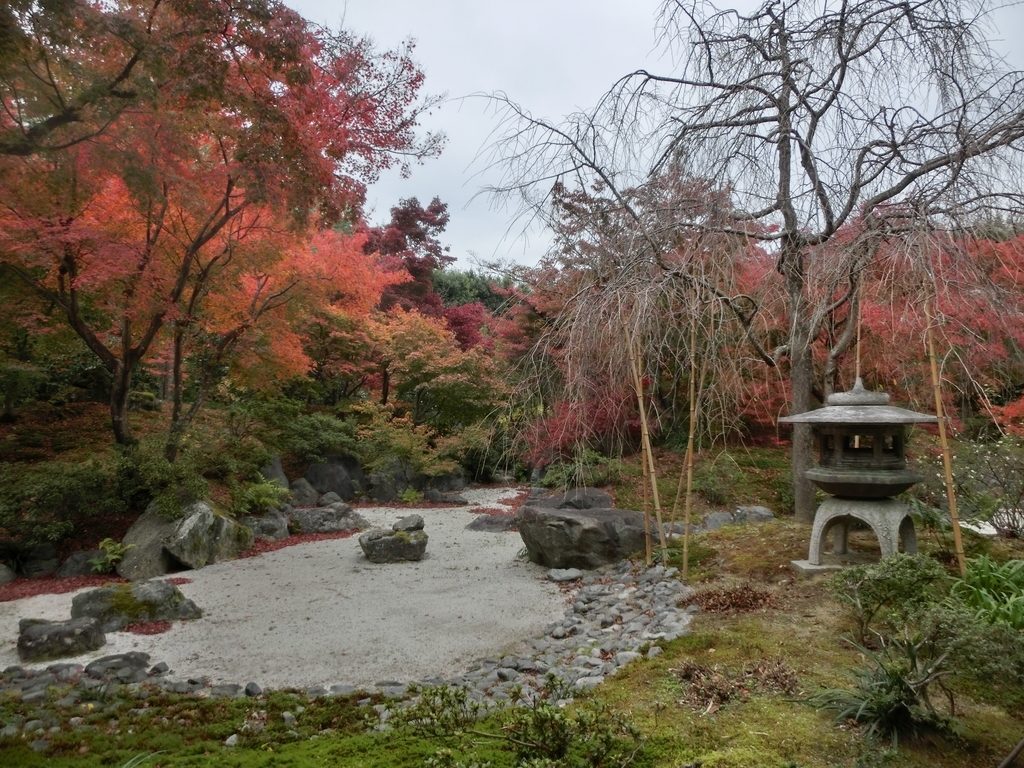 f:id:sateikuzou:20181218220036j:plain f:id:sateikuzou:20181218220036j:plain