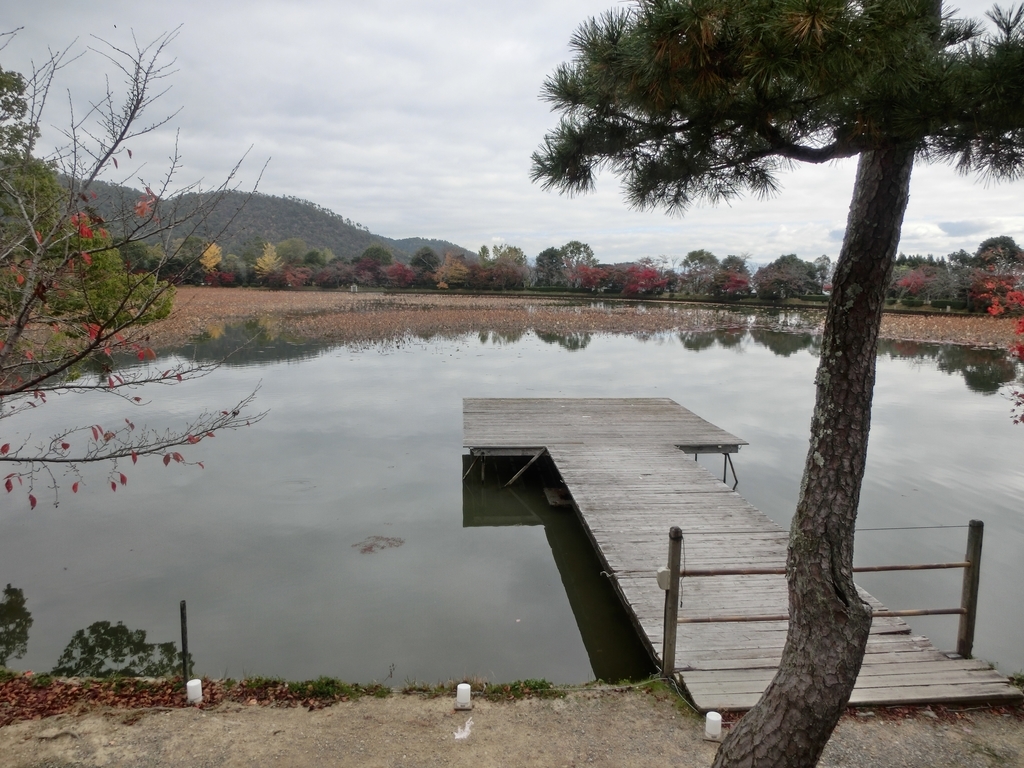 f:id:sateikuzou:20181218220114j:plain f:id:sateikuzou:20181218220114j:plain