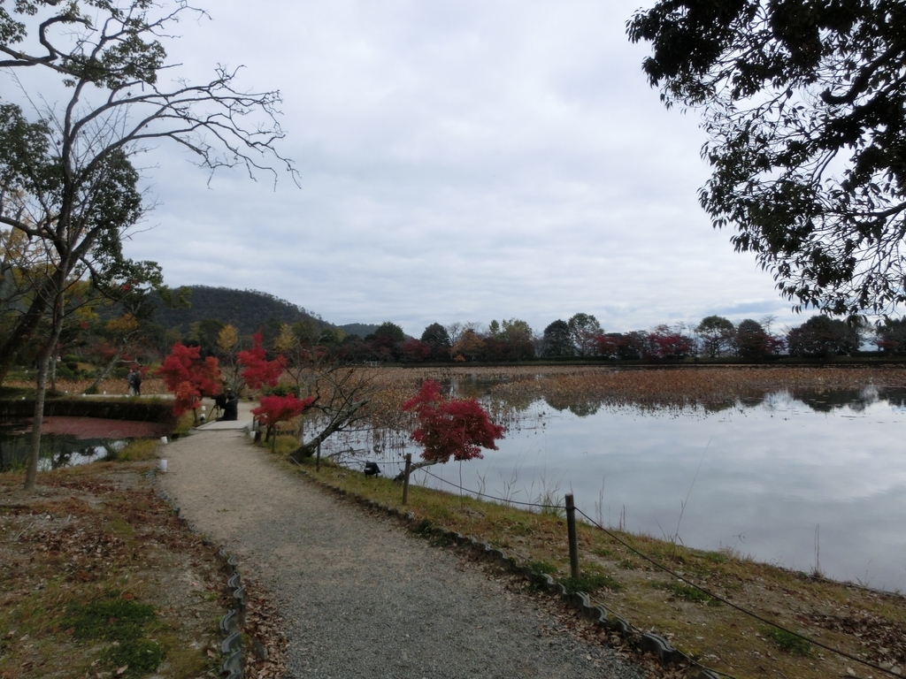 f:id:sateikuzou:20181218220155j:plain f:id:sateikuzou:20181218220155j:plain