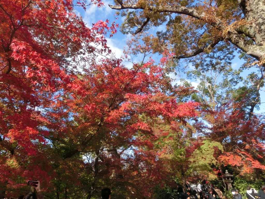 f:id:sateikuzou:20181220200129j:plain f:id:sateikuzou:20181220200129j:plain
