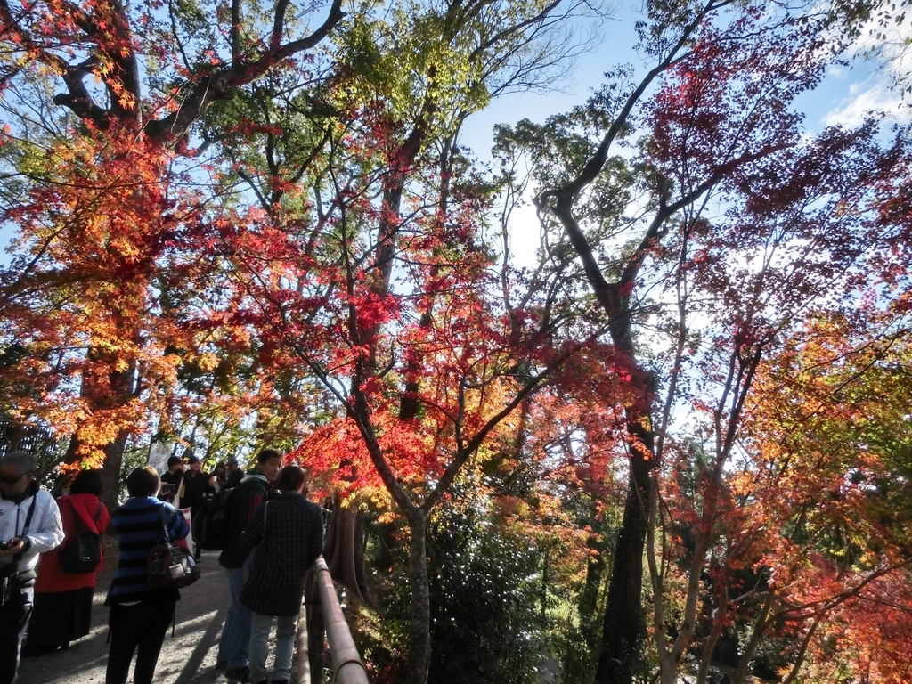 f:id:sateikuzou:20181220200204j:plain f:id:sateikuzou:20181220200204j:plain