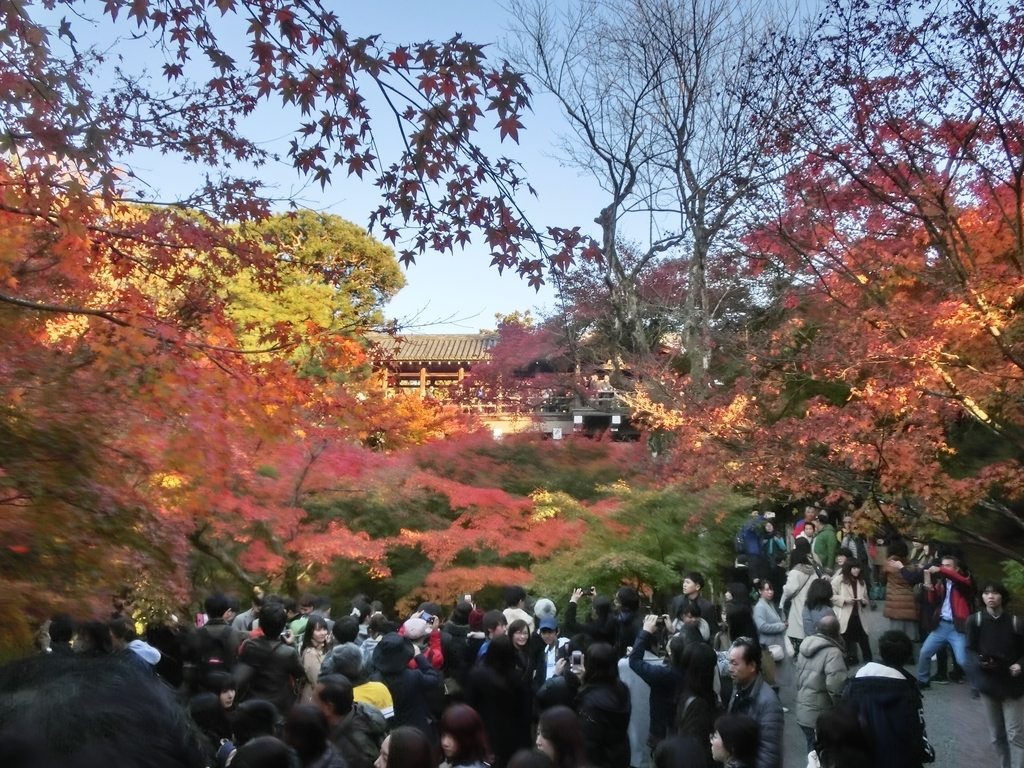 f:id:sateikuzou:20181220210955j:plain f:id:sateikuzou:20181220210955j:plain