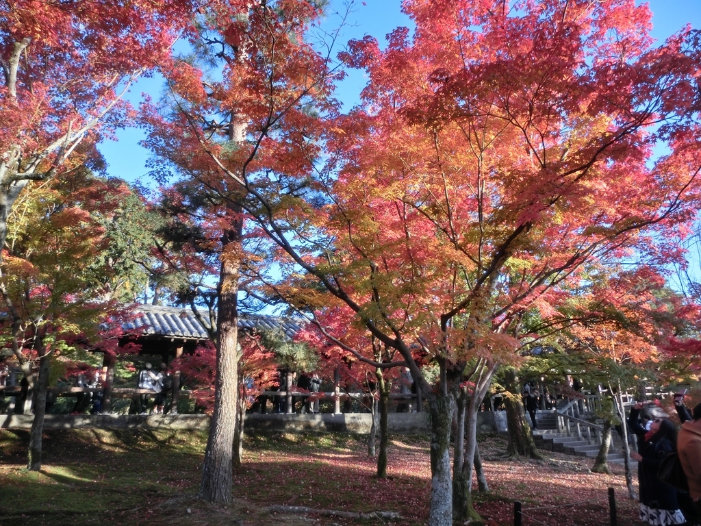 f:id:sateikuzou:20181220211115j:plain f:id:sateikuzou:20181220211115j:plain