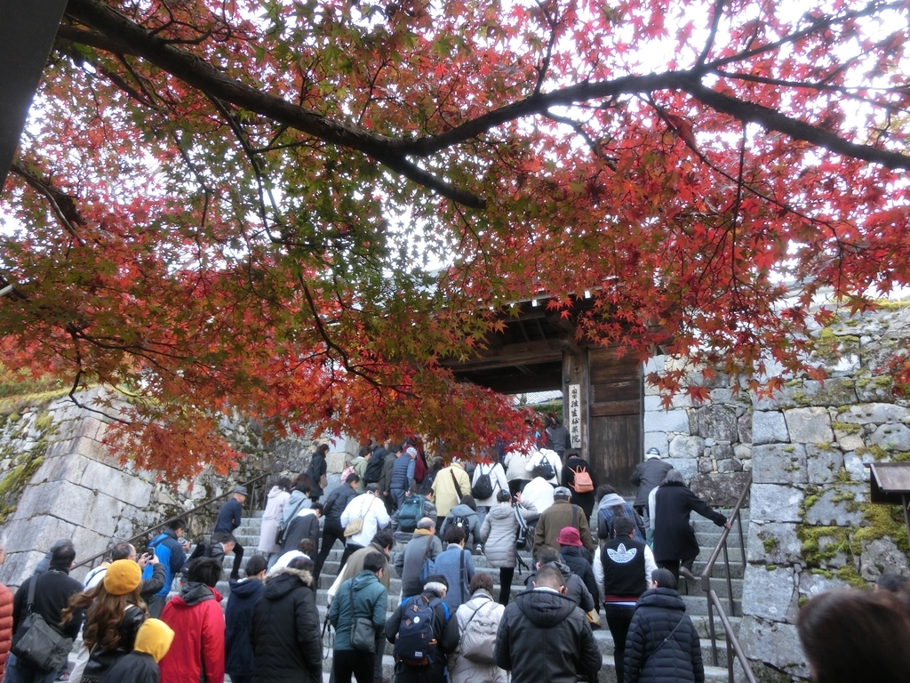 f:id:sateikuzou:20181223224343j:plain f:id:sateikuzou:20181223224343j:plain