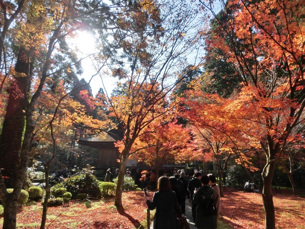 f:id:sateikuzou:20181223224611j:plain f:id:sateikuzou:20181223224611j:plain