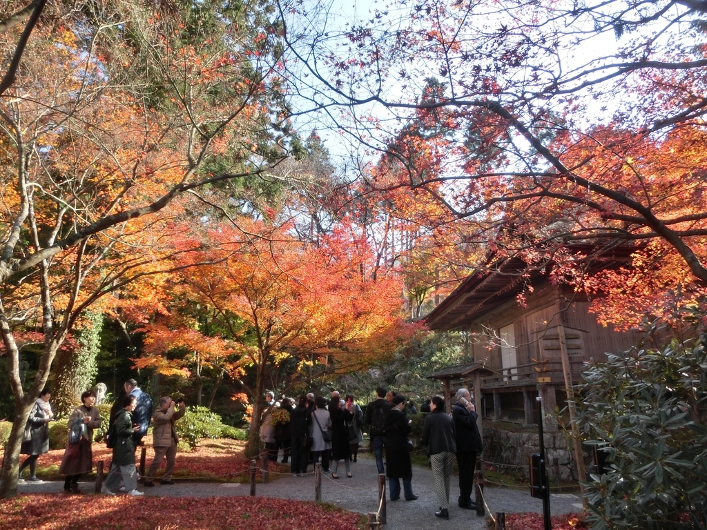 f:id:sateikuzou:20181223224652j:plain f:id:sateikuzou:20181223224652j:plain