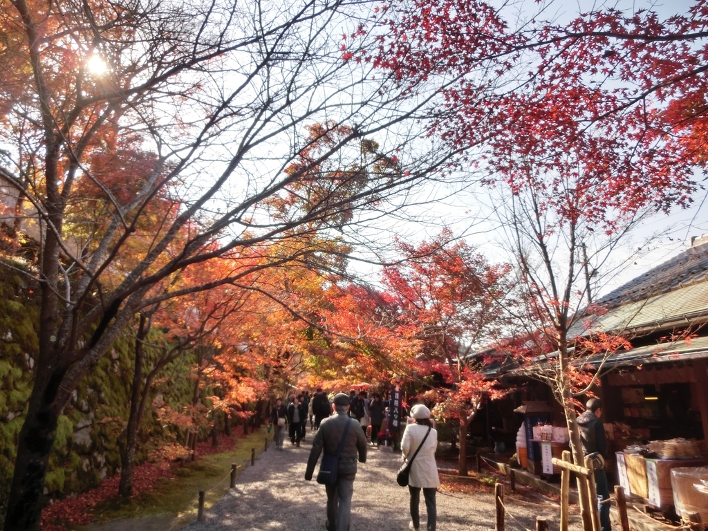 f:id:sateikuzou:20181223224807j:plain f:id:sateikuzou:20181223224807j:plain