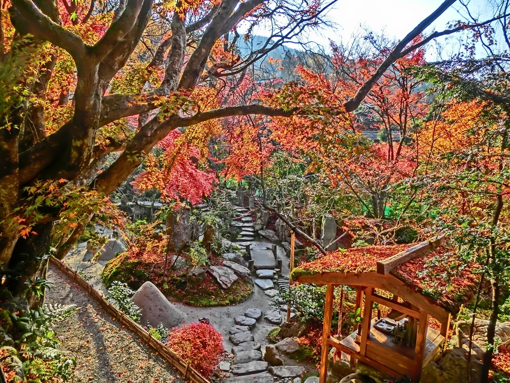 f:id:sateikuzou:20181223225547j:plain f:id:sateikuzou:20181223225547j:plain