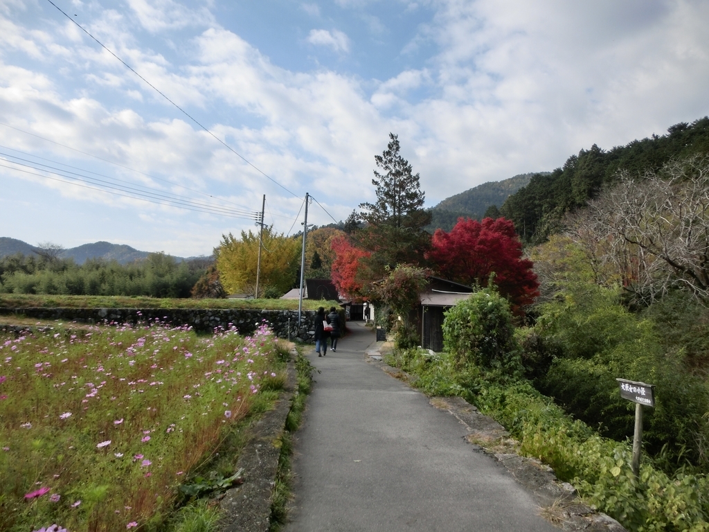f:id:sateikuzou:20181223230819j:plain f:id:sateikuzou:20181223230819j:plain