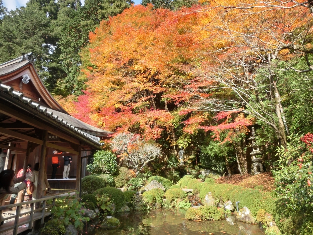 f:id:sateikuzou:20181223230957j:plain f:id:sateikuzou:20181223230957j:plain