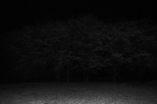 f:id:satellit:20120422231250j:image